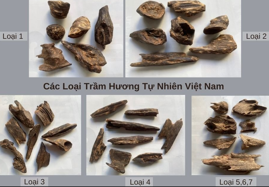 Cắt phôi và tạo hình trầm hương.png